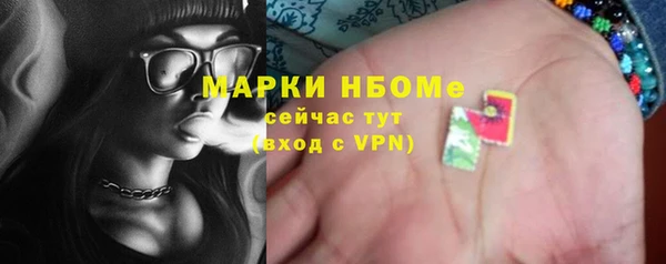 молекула духа Богородицк