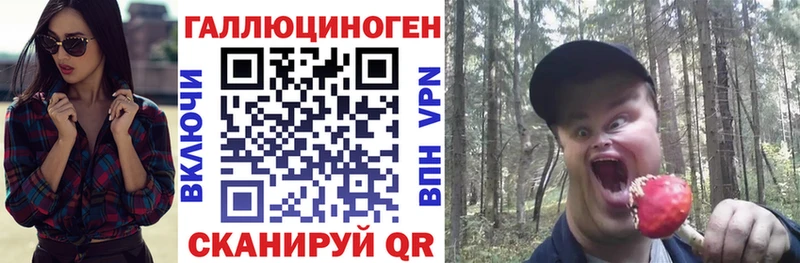 где купить наркоту  Верхняя Пышма  Псилоцибиновые грибы мицелий 