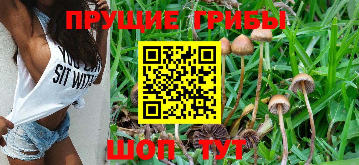 Галлюциногенные грибы Magic Shrooms Верхняя Пышма